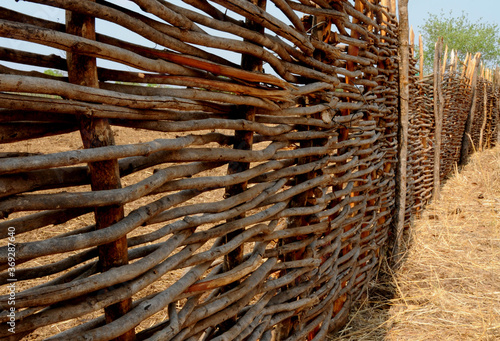 Protective handmade wooden kraal for cattle against predators in Zimbabwean bush