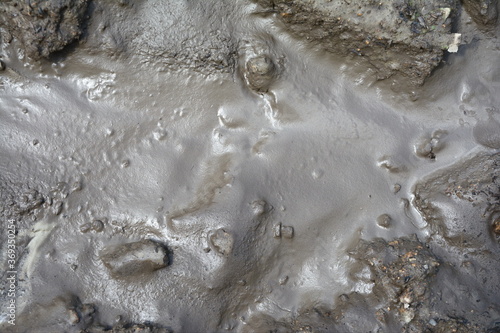 Mud texture or wet gray soil as natural background.