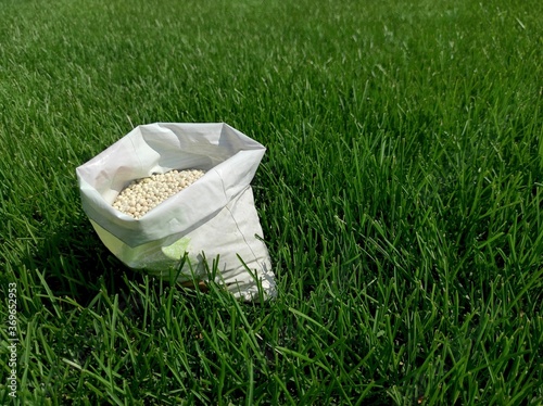 Fertilizer for grass, lawn, meadow in a bag of white granules on a background of green grass. Close up of mineral fertilizer granules used on grass lawns and gardens to maintain health and growth.