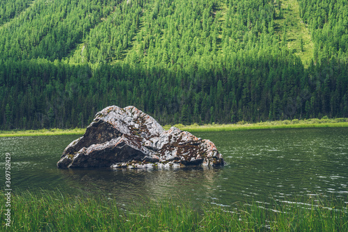 Meditative view to big mossy stone closeup in beautiful green lake on forest mountain background. Atmospheric alpine green landscape with big stone and ripples in lake surface. Scenic relaxing place.