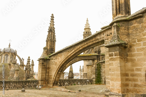 The flying buttress from the roof of the cathedral of Sevilla, Spain during winter.