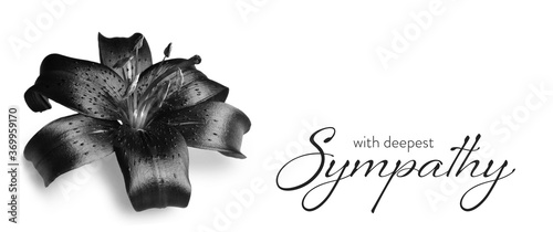 Sympathy card with dark lily flower isolated on white background