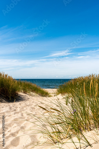Peaceful beach with dunes and green grass. Ocean in the background, blue sky.