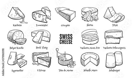 Collection of traditional Swiss cheese. Hand drawn sketch in doodle style.