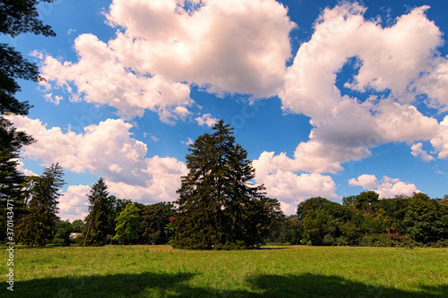 Wide-angle nature landscape view of Large Lawn with trees against blu sky. It is one of the most famous places in the Arboretum Alexandria in Bila Tserkva, Ukraine. Concept of landscape and nature