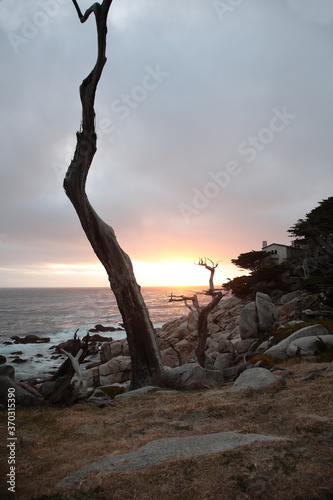 Landscape of Pescadero Point with ghost trees during sunset along 17 Mile Drive in the coast of Pebble Beach, California