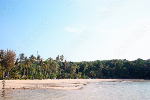 Beach on the island coconut trees