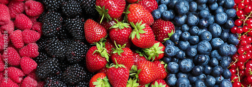 Mix of different fresh berries as background, banner design