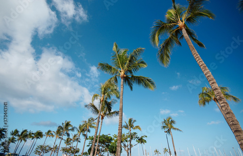 ハワイ・ホノルルのアラモアナビーチのヤシの木と空