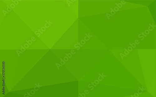Light Green vector hexagon mosaic cover.