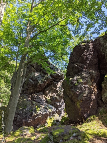 Huge Rocks in a Summer Forest