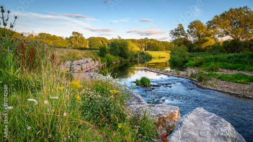 River Wear Wildflower Riverbank, at Bishop Auckland, known as the gateway to Weardale and is a Market Town in County Durham