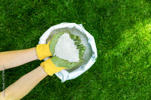 feeding lawn with granular fertilizer for perfect green grass