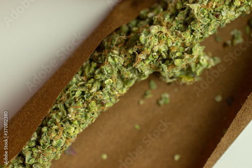 Cannabis marijuana rolled in blunt close up top view