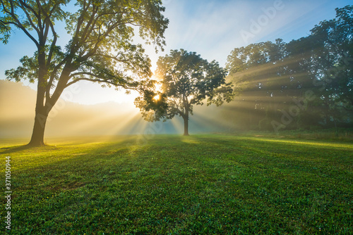 Dreamy sunrise at Naritan Park in New Jersey featuring sun rays beaming through the tree