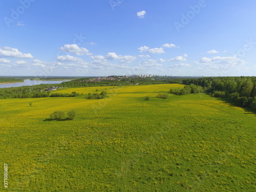 Yellow-green field and blue sky, Komi Republic, Russia.