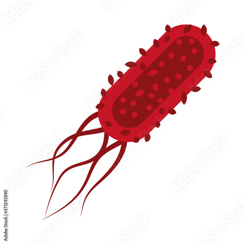 salmonella bacteria icon, flat style