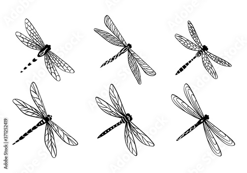 Hand drawn dragonfly set. Cute decorative insects isolated on white background. Vector illustration.