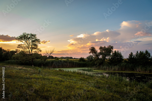 evening landscape with a small pond and reeds