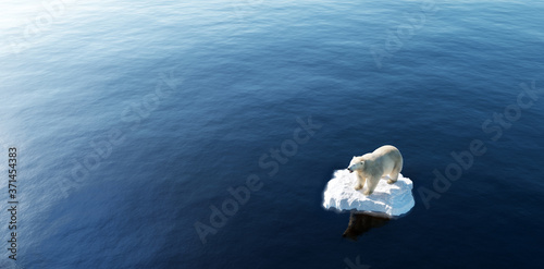 Polar bear on ice floe. Melting iceberg and global warming.