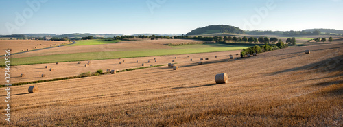 landscape with cornfields and meadows in regional parc de caps et marais d'opale in the north of france