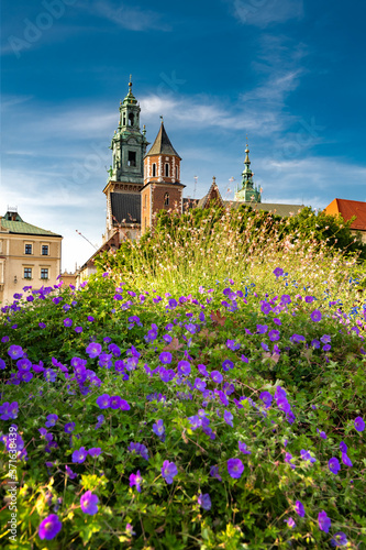Katedra Wawelska. Wzgórze Wawelskie. Wawel. Kwiaty 