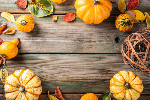 Autumn pumpkin thanksgiving background with copy space for text, assorted pumpkins over green wooden table. Toned flat lay.