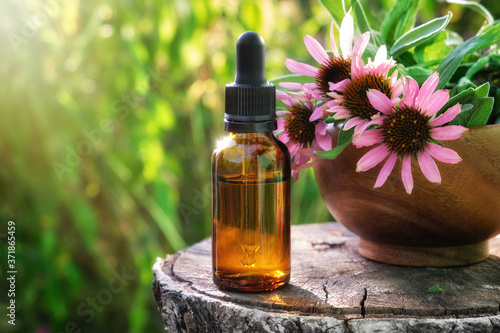 Dropper bottle of echinacea tincture or essential oil , wooden mortar of coneflowers outdors. Alternative medicine.