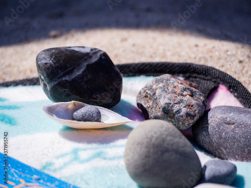 Morskie kamienie i muszelki 