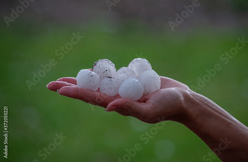 Very large hail on a palm close up