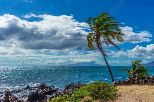 A view of the island of Lanai from the shore of Kihei, Hawaii with a palm tree blowing in the trade winds on the Island of Maui. 