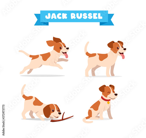 cute jack russel dog animal pet with many pose bundle set