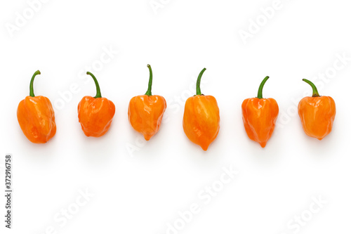 habanero hot chili pepper isolated on white background