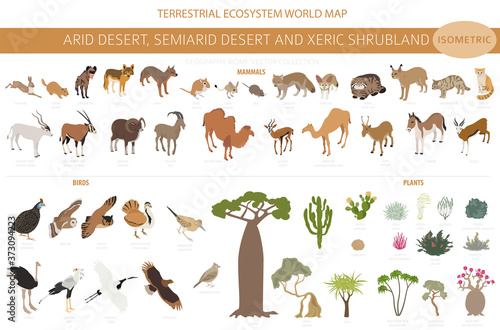 Desert biome, xeric shrubland biome, natural region infographic. Terrestrial ecosystem world map. Animals, birds and vegetations isometric design set