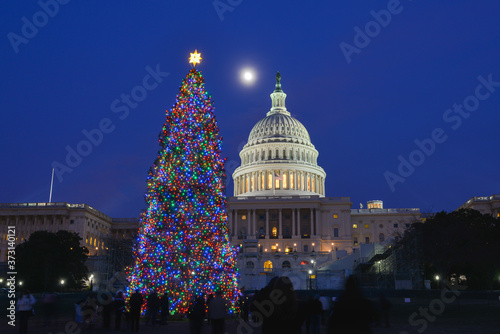 Traditional Christmas Tree and Capitol Building at night - Washington D.C. United States of America