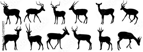 set of antelope, gazelle shadow flat design vector illustration. Hand drawn.