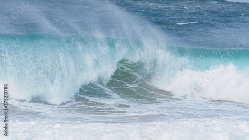 Large Surf/Wave