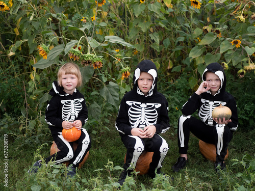 friendly family in carnival costumes of skeletons sit among the thickets of sunflower. Halloween Eve.Happy three boys with pumpkins