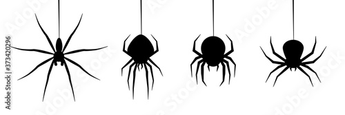 halloween spider's web vector. black spider on white background. danger insect. horror banner, scary poster. cobweb isolated decoration stock illustration. october holiday flyer mockup mock up