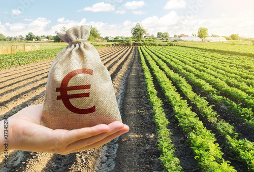 Hand holds out a euro y bag on a background of a carrot plantation. Support and subsidies. Lending farmers for purchase land and seed material, modernization. Revival of the village. Farm loans.