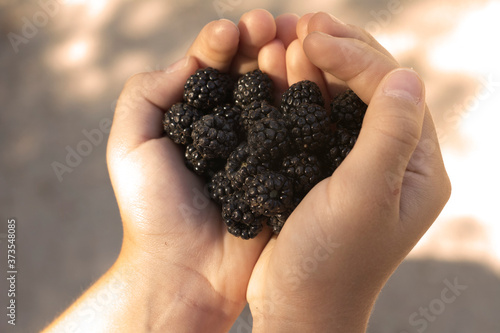 moras en la mano de una niña