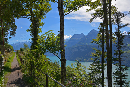 Blick von Axenstein bei Morschach über den Urnersee / Vierwaldstättersee