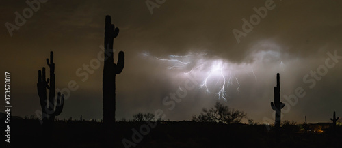 Saguaro cacti stand watch as lightning bolts light up the desert sky during a summer monsoon near Phoenix, Arizona.