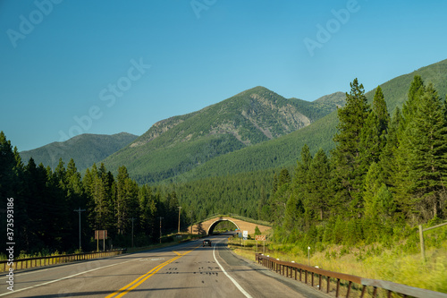 Wildlife animals crossing bridge in the Flathead Reservation area of Montana on Highway 93, allowing wildlife to continue historic migration routes