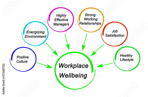 Six drivers of workplace wellbeing