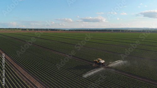 Spraying the field. Potato processing