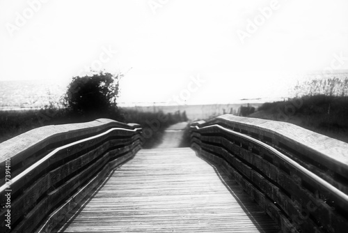 Monotone Bridge