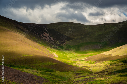 Dramatic Sky and Light on a Hillside With Sheep Grazing Along the John Buchan Way in the Scottish Borders