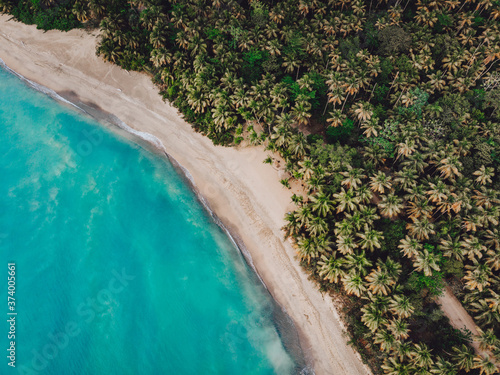 Aerial drone view of paradise beach with palm trees and blue water at the Esmeralda beach, Miches, Dominican Republic 