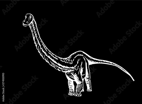 Vector diplodocus isolated on black background, graphical illustration of dinosaur